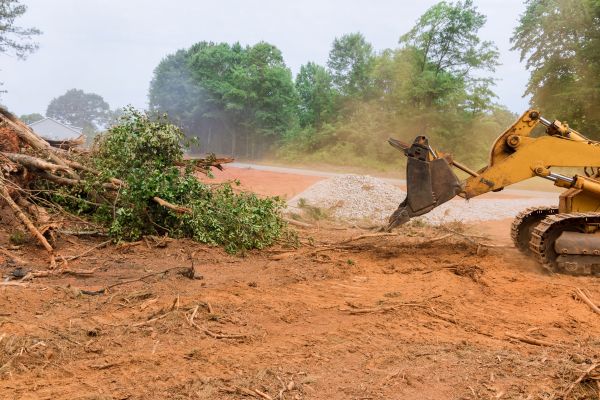 Ground Clearing in West Lafayette