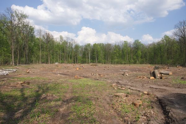 Cost of Pasture Clearing in West Lafayette