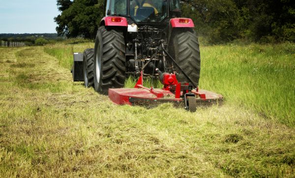 Brush Clearing Service in West Lafayette