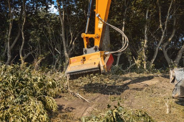Brush Removal Service in West Lafayette