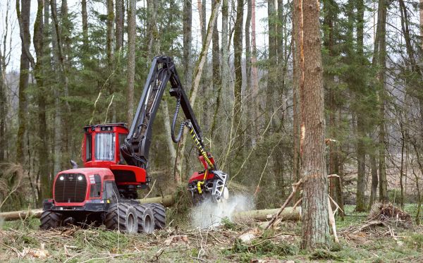 Cost of Forest Clearance Service in West Lafayette