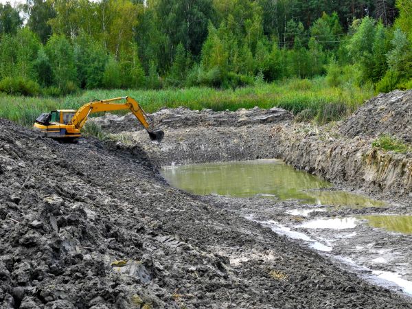 Cost of Lake Lot Clearing in West Lafayette