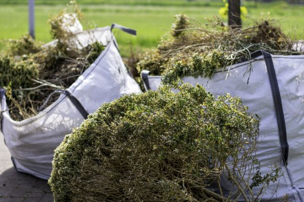 Bushes Clearing in West Lafayette
