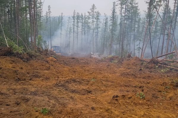 Cost of Hill Clearing in West Lafayette