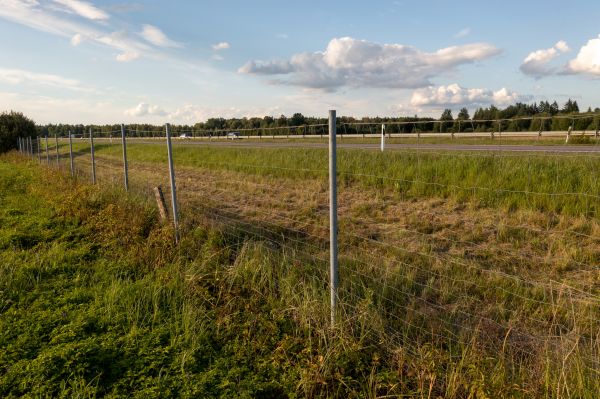 Cost of Property Line Clearing in West Lafayette