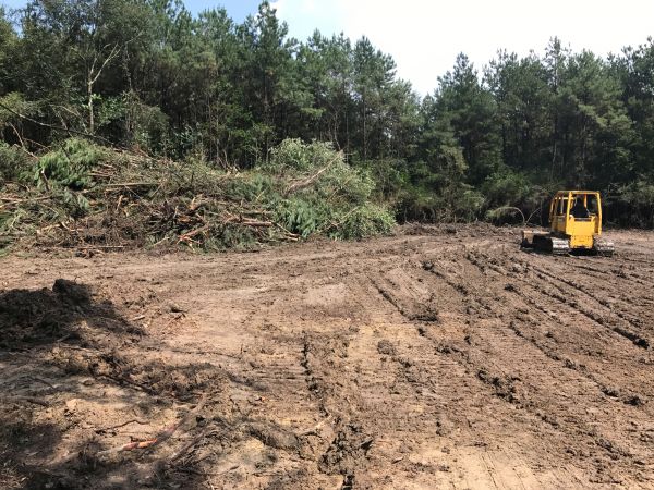 Cost of Thicket Clearing in West Lafayette