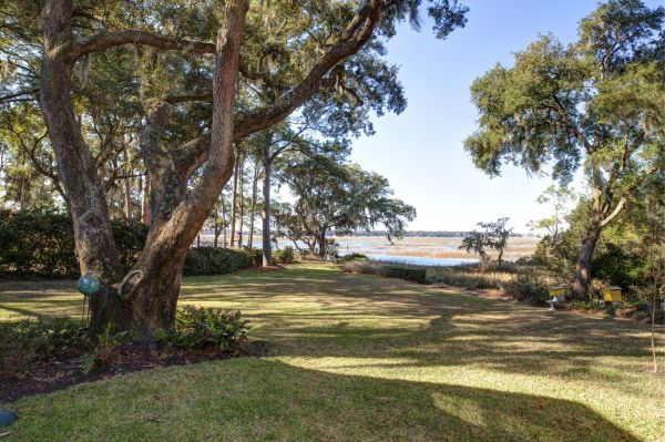 Cost of Lakefront Property Clearing in West Lafayette