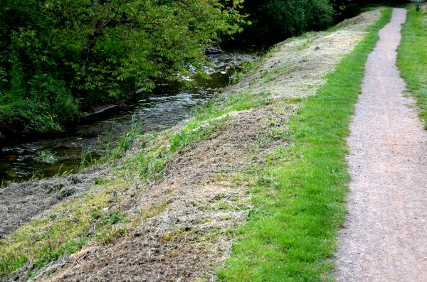 Cost of Trail Cutting in West Lafayette
