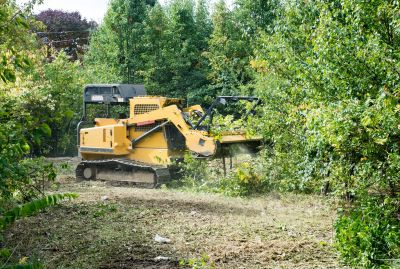 Seasonal Land Clearing Site